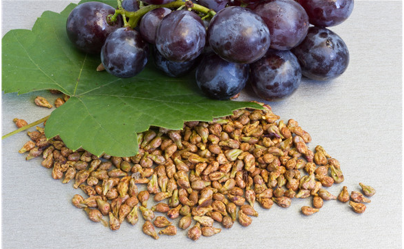 opc grape extract powder